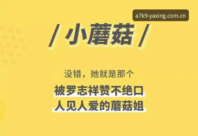 亚星最新活动 深度揭秘:亚星最新活动背后的隐藏福利,老用户才知道的玩法